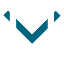 Mount Vernon Logo-footer